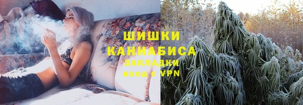 ешки Аркадак