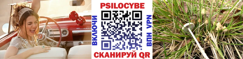 Галлюциногенные грибы GOLDEN TEACHER  продажа наркотиков  Семикаракорск 